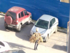 Волгоградка в канун Первомая вынесла елку