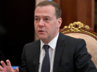 Истинную личину Дмитрия Медведева назвал волгоградский политолог