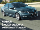Вечеринка крутого папы: презентация новой Skoda Octavia в семейной обстановке