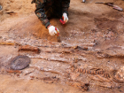 Внешность древних сарматов помогут восстановить найденные под Волгоградом кости