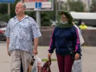Причины второго нашествия мошек в Волгоград назвал ученый 