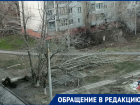 Чиновники закрыли глаза на деревья - «убийцы» на севере Волгограда 