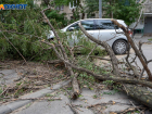 Упавшие деревья перегородили дороги: фоторепортаж последствий сильной бури в Волгограде