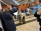 «Ура, мы полетели»: аэропорт Волгограда снова открыли 