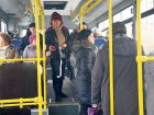 До 15 рублей может упасть стоимость проезда в автобусах Волгограда