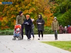Крепкий ветер поднимется в Волгоградской области в воскресенье