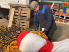 Восьмиметровое чучело готовят к сожжению в Волгограде