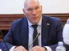 Николай Валуев и Кевин Джонсон приедут в Волгоград