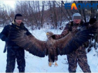  Полицейский похвастался в соцсетях убийством краснокнижного орлана в Серафимовичском районе