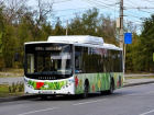Волгоградские автобусы в День России перейдут на особый режим работы