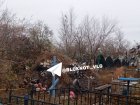 Еще одно волгоградское кладбище завалили мусором 