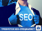 Ищем к новому году своего seo-специалиста в Волгограде!