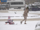 Волгоградцы не увидят снега в 2025-м году – синоптики 