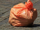 Волгоградцы могут помочь бездомным собакам, собирая мусор раздельно