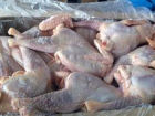 Под Волгоградом продавали потенциально опасных цыплят