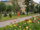 Грозы с ветром обещают синоптики в Волгоградской области 