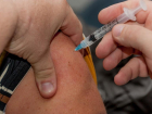 Бесплатно сделать прививки от гриппа предлагают волгоградцам