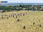 На 8 тысяч человек вымерла Волгоградская область с начала года