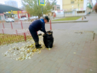 Мыть остановки, сажать клумбы и мести улицы будут волгоградские безработные 