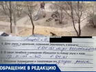 Жители двора в Волгограде требуют ликвидировать собак после серии нападений на детей
