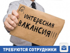 Партнеры "Газпрома" набирают сотрудников в Волгограде