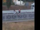 Две молодые волгоградки с маленьким ребенком устроили опасный "квест" на оживленной магистрали