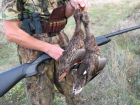 В Волгоградской области с 29 августа открывается охота на пернатую дичь