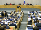 Депутаты Госдумы могут заявиться всем Советом в Волгоград