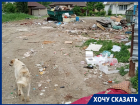 «Живем как на мусорном полигоне»: каким мэр Лихачёв сдает Волгоград