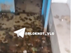 Извержение кипятка в МКД Волгограда сняли на видео 