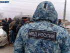 Полиция проверяет массовое отравление кислотой лошадей под Волгоградом 