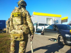 Черную икру и осетровых по-крупному изъяли в Волгограде
