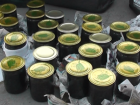 Волгоградца осудят за сбыт 12 литров браконьерской икры 
