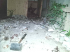В Волгоградской области женщина избила вилами и молотком домашнюю овчарку