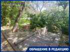 Ураган повалил дерево в Волгограде