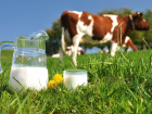 "Вимм-Билль-Данн" утверждает, что их молочная продукция не заражена ящуром