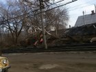 В Волгограде из-за обрушившегося дерева трамваи встали в пробку
