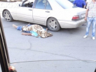 Под Волгоградом водитель вышел из машины и умер на глазах у прохожих