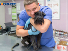 30 ноября — Всемирный день домашних животных. Пять способов позаботиться о них от ветклиники «Айболит»