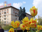 Больше 100 тысяч цветов высадят в Волгограде