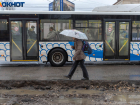 Волгоградцы просят у Бастрыкина ускорить запуск троллейбусов до железнодорожной больницы