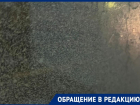 "Ничего не видно": на поездки вслепую в автобусах пожаловались волгоградцы 