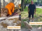 Ее хотели усыпить: как за год изменилась шарпей-хромоножка из Волгограда