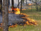 В Волгограде Сергей Зверев заплатит штраф за пожар в лесу 