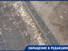 Волгоградцы пожаловались на горы окурков на остановках