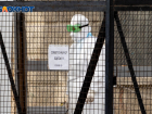 Ученые не считают стабильной ситуацию с коронавирусом в Волгоградской области 