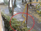 На газовую трубу повалил дерево ураганный ветер в Волгограде 