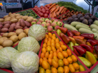 Резкий ценовой шторм в продуктовых магазинах зафиксирован в Волгограде: борщ против салата