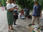 В Волгоградской области ежедневно «гоняют» уличных торговцев с ягодами и кабачками