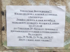 Отмена остановки «Водоотстой» привела к массовой протестной акции в Волгограде